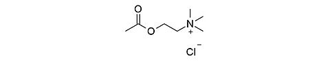 Strukturformel Acetylcholinchlorid
