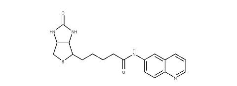 Structural formula biotin-6-aminoquinoline