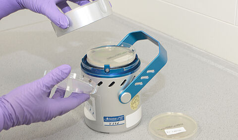 Mikrobiologische Untersuchung