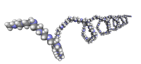 3D Darstellung Polyethylenimin